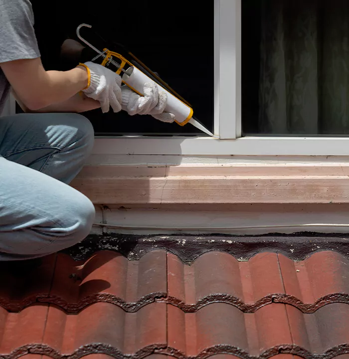 Roof Window Services in Kissimmee, Florida