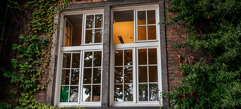 Energy Efficient Wood Windows in Kissimmee, FL