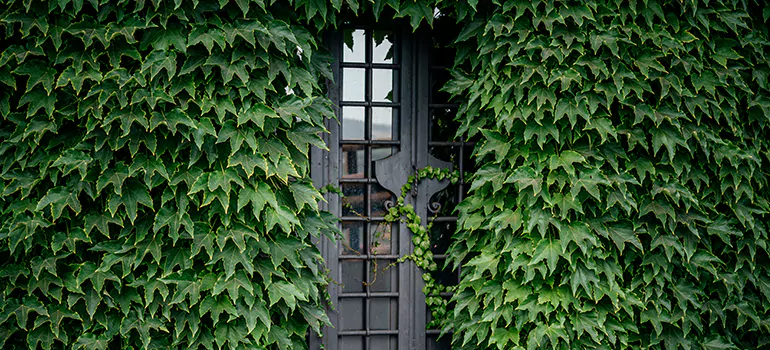 Garden Gate Repair in Kissimmee, FL