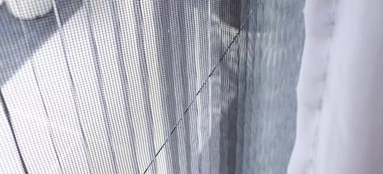 Fixing Screen Window Mesh in Kissimmee, FL