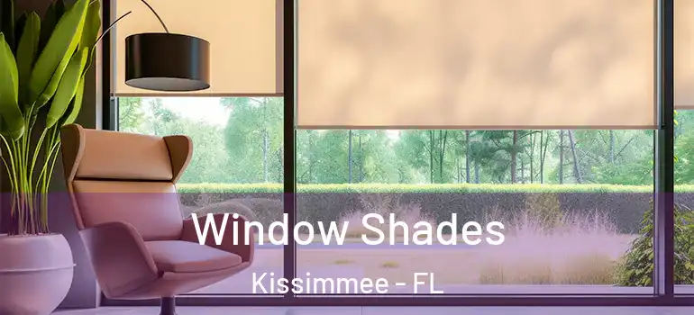  Window Shades Kissimmee - FL
